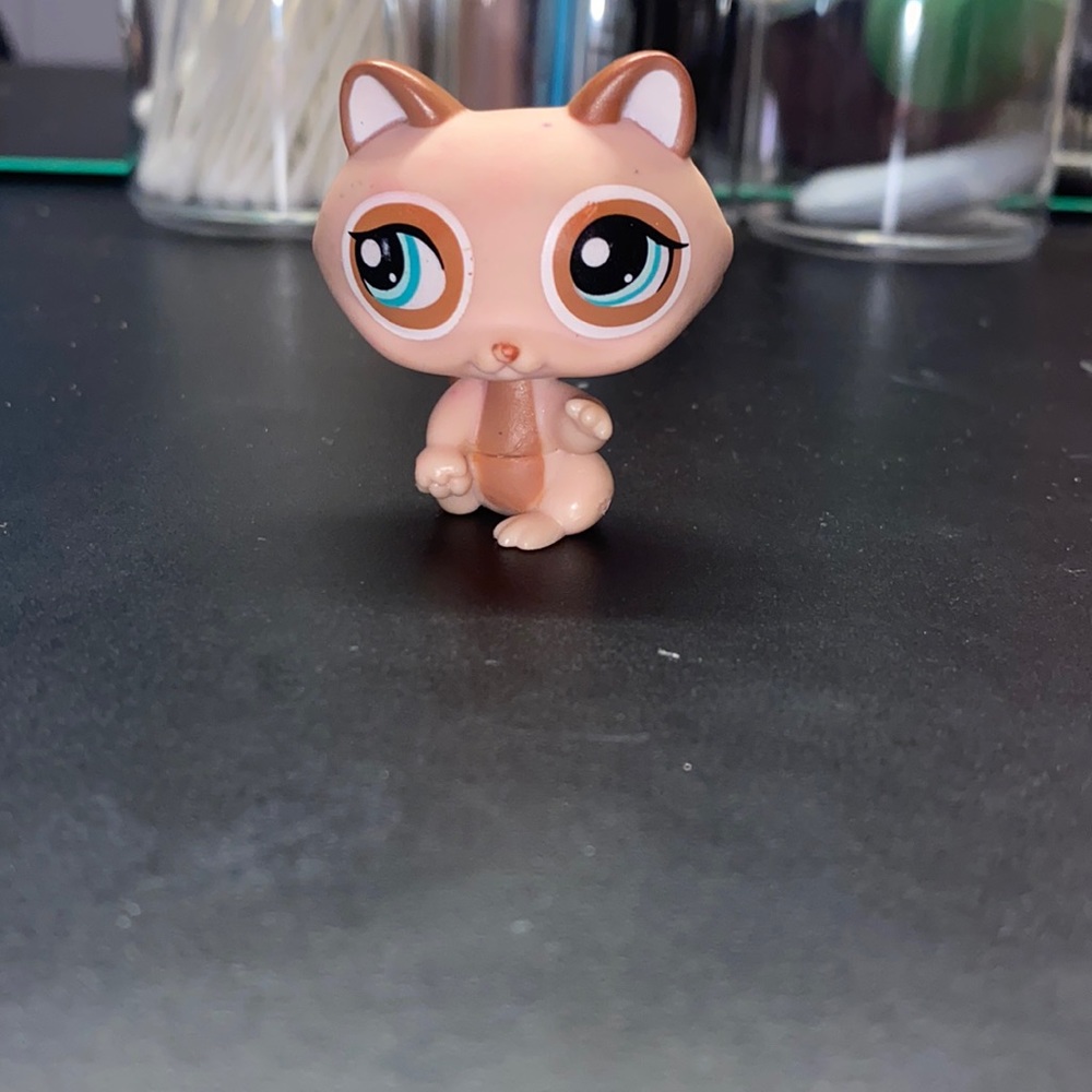 Littlest pet shop raccon